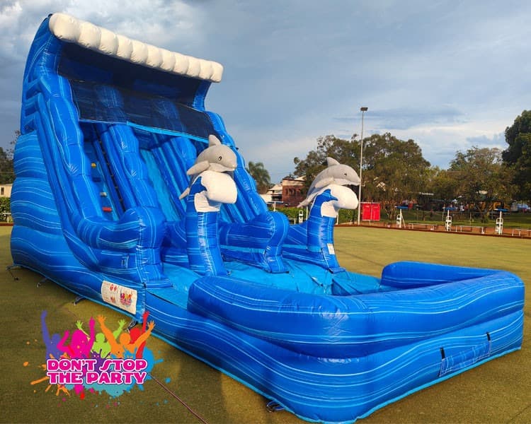 Dolphin dual-lane water slide